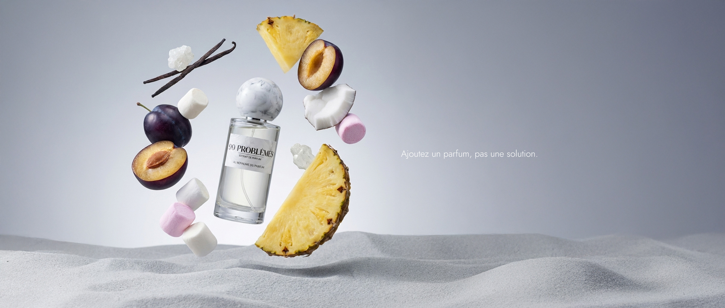 ORDPF_Mise_99PROBLEMES_desktop