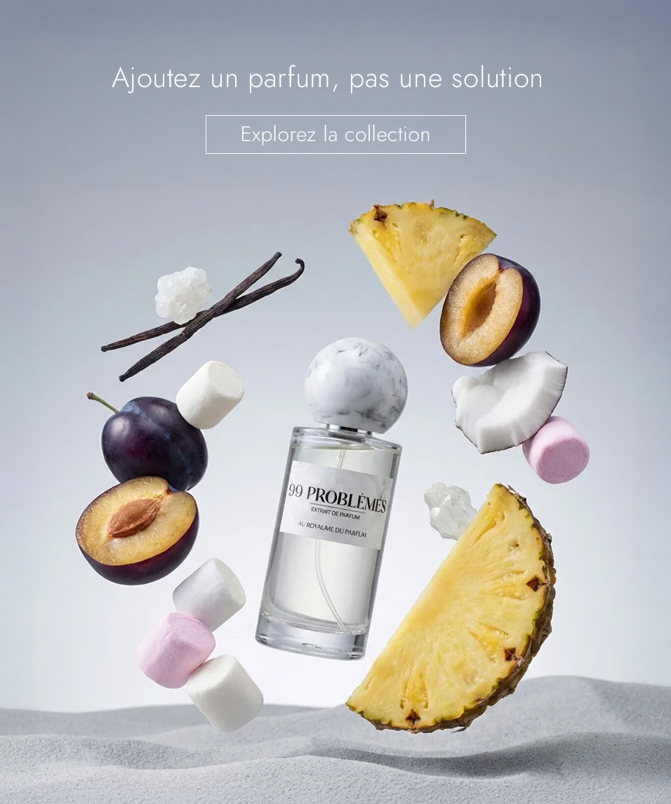 ORDPF_Mise_99PROBLEMES_mobile_titre